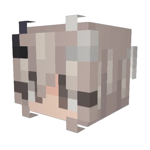 masterchief0206 Minecraft avatar head, 3D render