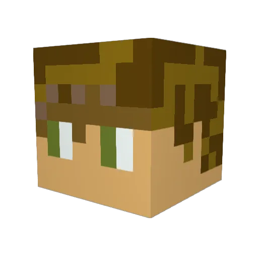mastercraftj Minecraft avatar head, 3D render
