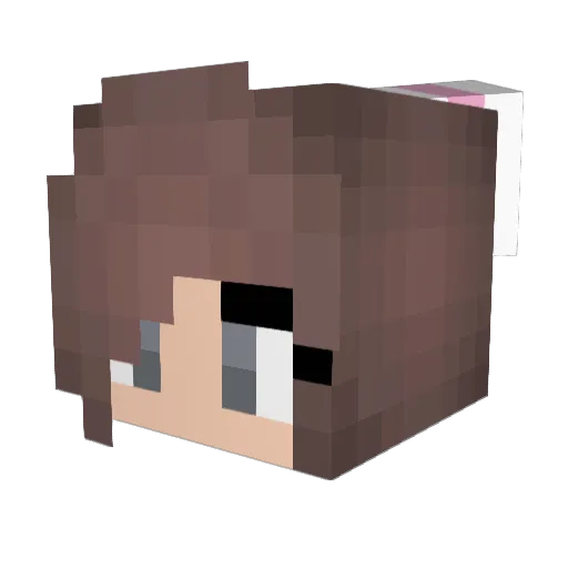 masterdbz21 Minecraft avatar head, 3D render