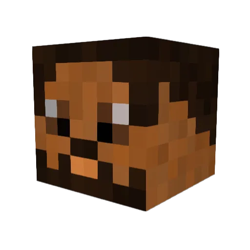 masterlil123 Minecraft avatar head, 3D render
