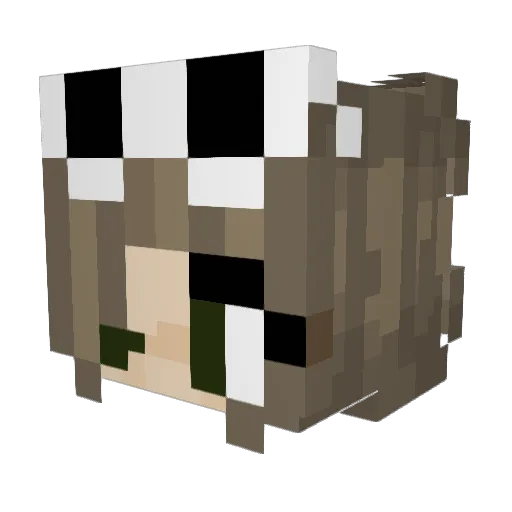 masterlion123 Minecraft avatar head, 3D render