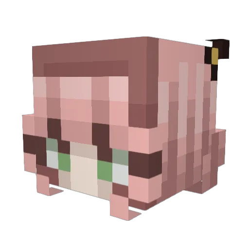 masterschnitzel6 Minecraft avatar head, 3D render
