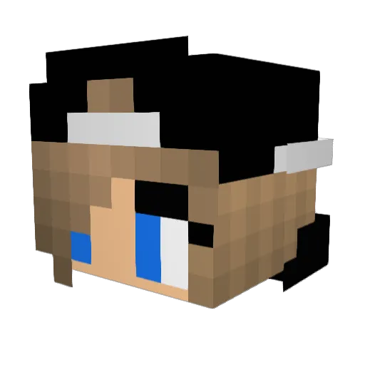 masterwolfe04 Minecraft avatar head, 3D render