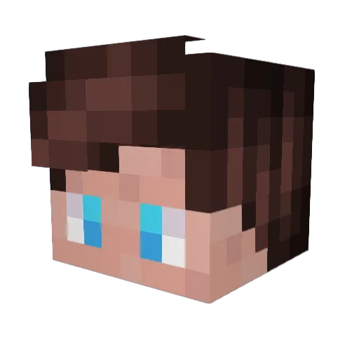 mastr503 Minecraft avatar head, 3D render