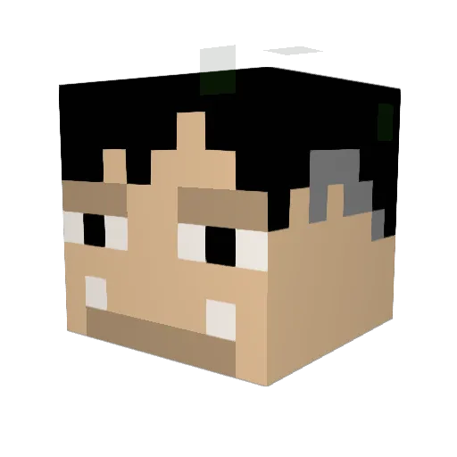 matakoyasu Minecraft avatar head, 3D render