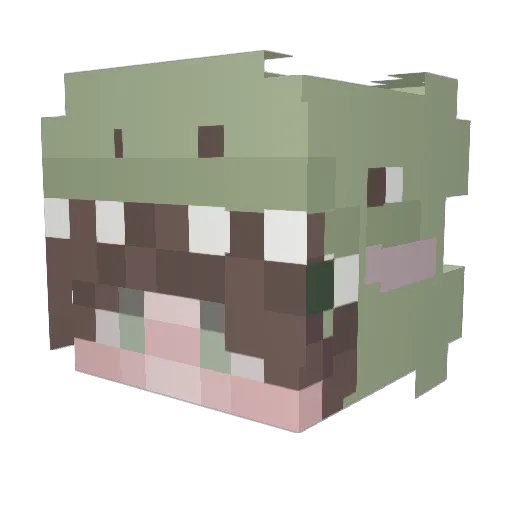 matbug_ Minecraft avatar head, 3D render