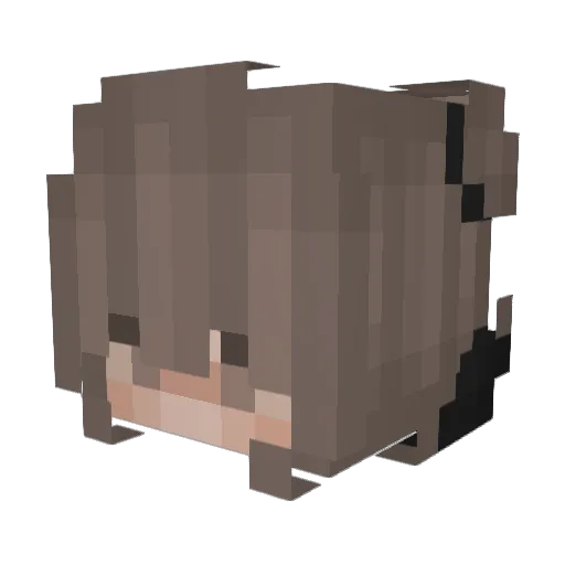 matchabeanz Minecraft avatar head, 3D render