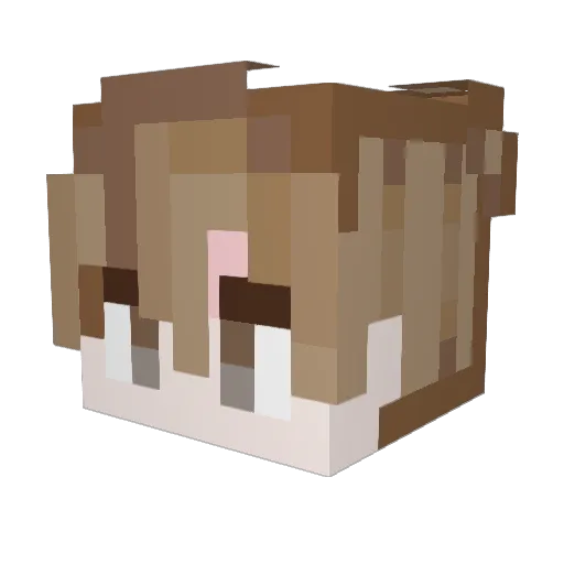 matchaeli Minecraft avatar head, 3D render