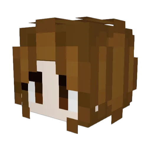 matecs5 Minecraft avatar head, 3D render