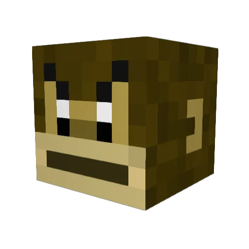mateeop Minecraft avatar head, 3D render