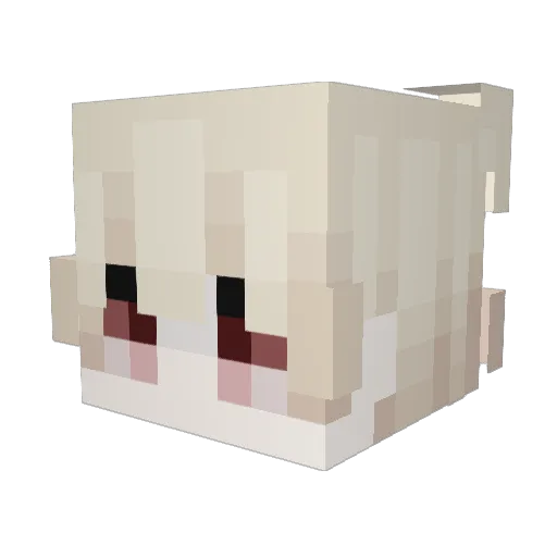mateo010101010 Minecraft avatar head, 3D render