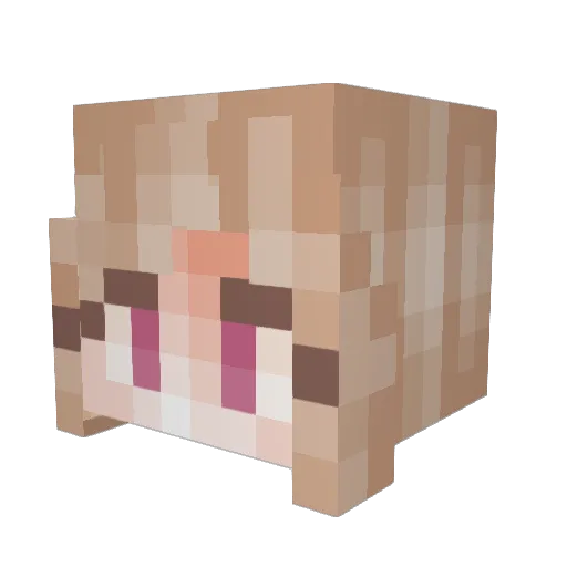 mateogoldpro34 Minecraft avatar head, 3D render