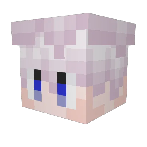 mateotbe Minecraft avatar head, 3D render