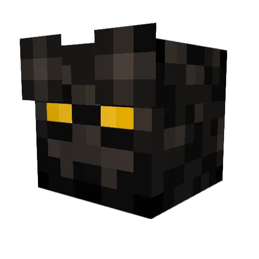 mateulusz Minecraft avatar head, 3D render