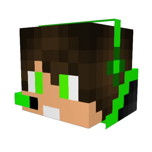mateustg49 Minecraft avatar head, 3D render