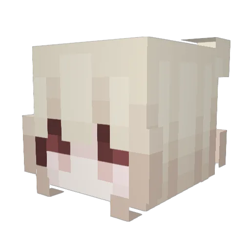 mathandtakyi Minecraft avatar head, 3D render