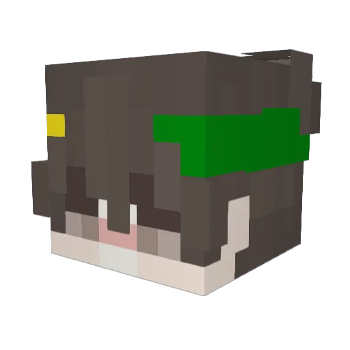 mathematicawz Minecraft avatar head, 3D render