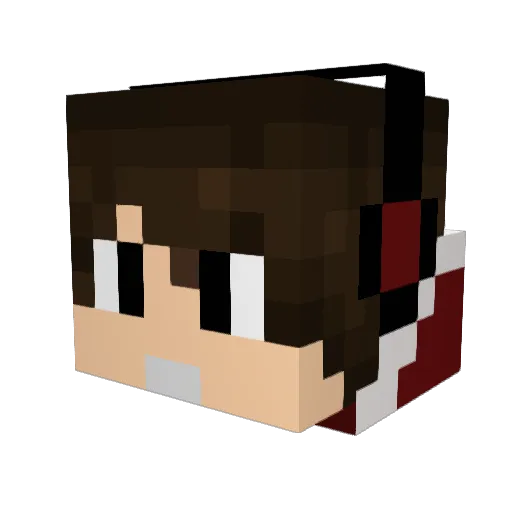 matheus3008 Minecraft avatar head, 3D render
