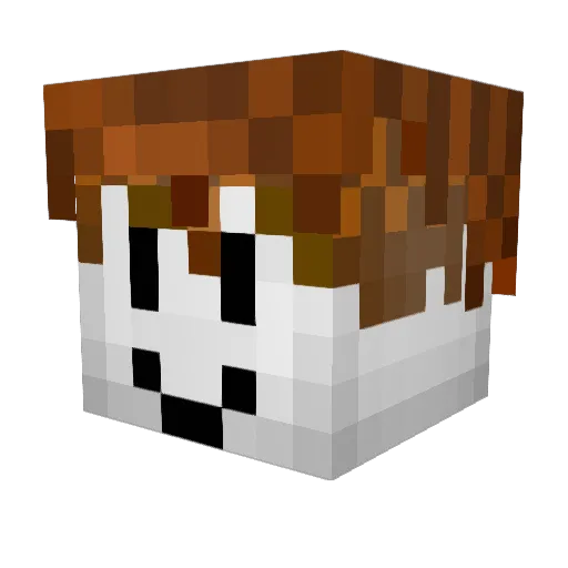 matheusbr220210 Minecraft avatar head, 3D render