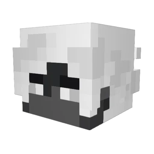 matheuvz Minecraft avatar head, 3D render
