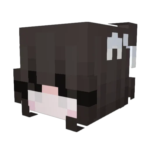 matheuzinhoABC Minecraft avatar head, 3D render