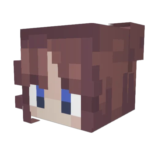 mathimagical Minecraft avatar head, 3D render