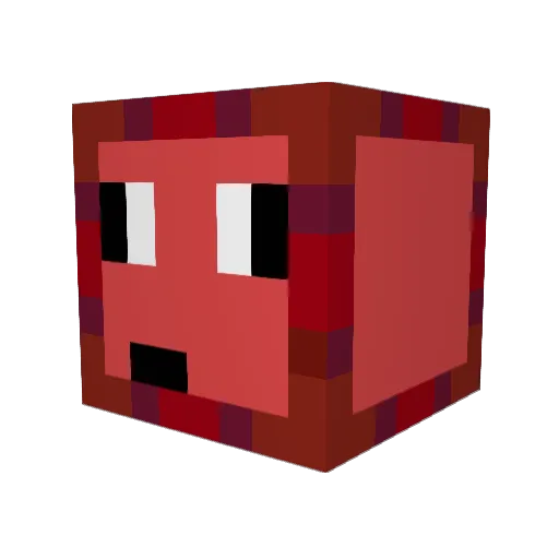 mathis_25 Minecraft avatar head, 3D render