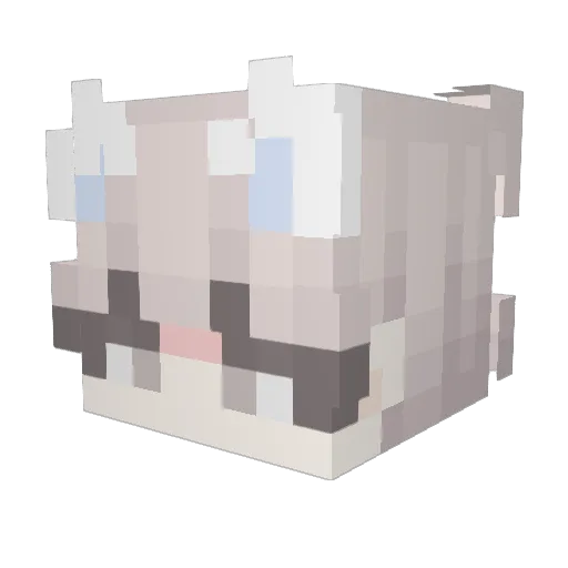 Minecraft-Avatar von mathiwf: Kopf als 3D-Render