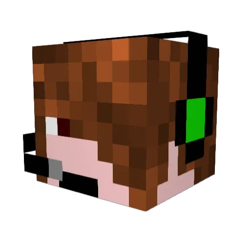 mathwhiz Minecraft avatar head, 3D render