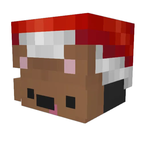 matiXdragon Minecraft avatar head, 3D render