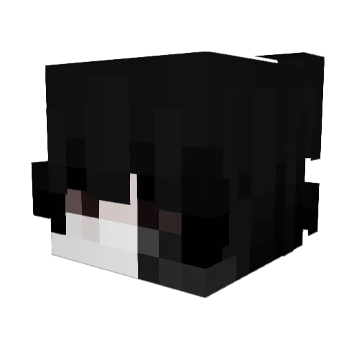 matiijja Minecraft avatar head, 3D render