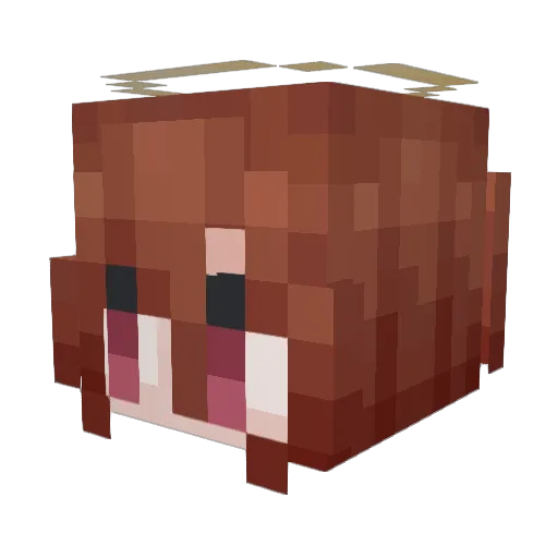 matikxen1 Minecraft avatar head, 3D render