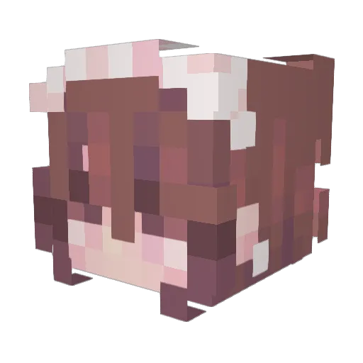 matildaen Minecraft avatar head, 3D render