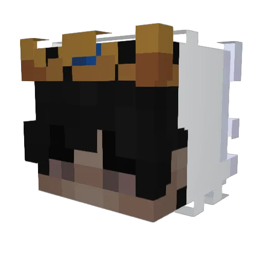 matipro_pvp Minecraft avatar head, 3D render