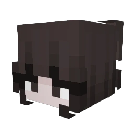 matitunes Minecraft avatar head, 3D render