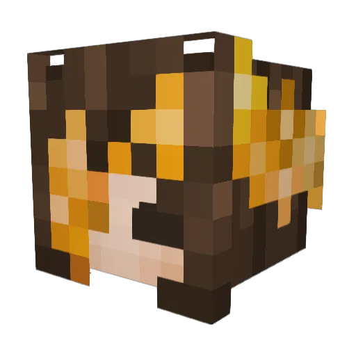 matiwolf Minecraft avatar head, 3D render