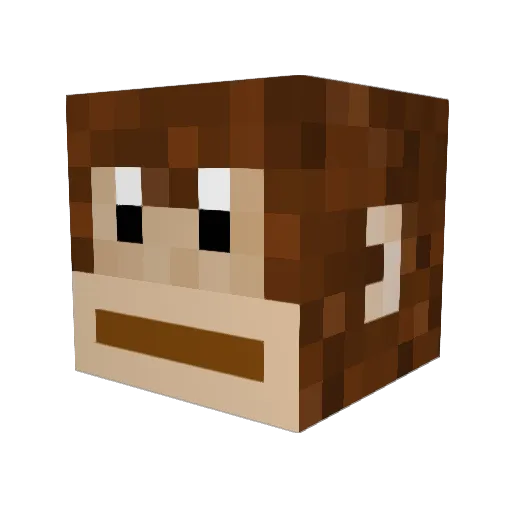 mato_poo Minecraft avatar head, 3D render