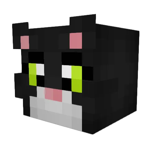 matric13 Minecraft avatar head, 3D render