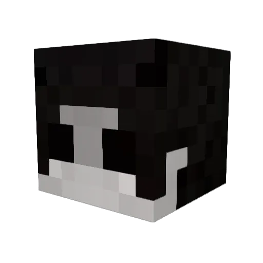 matrixox123 Minecraft avatar head, 3D render