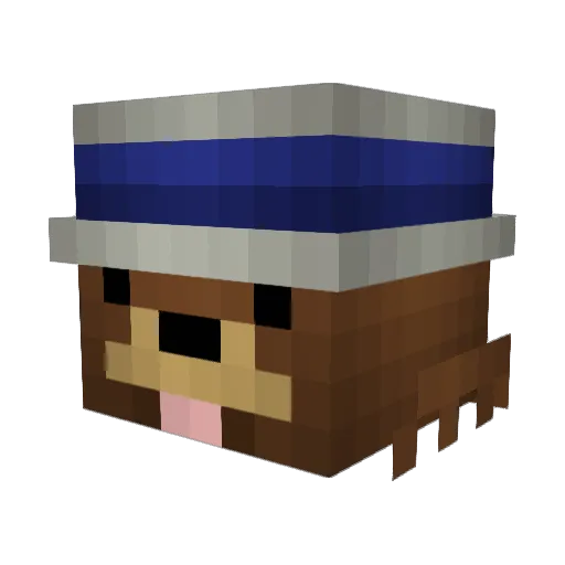 matt1924 Minecraft avatar head, 3D render
