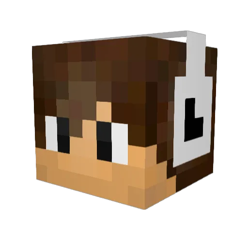 mattFllr Minecraft avatar head, 3D render