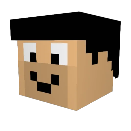 mattcam27 Minecraft avatar head, 3D render