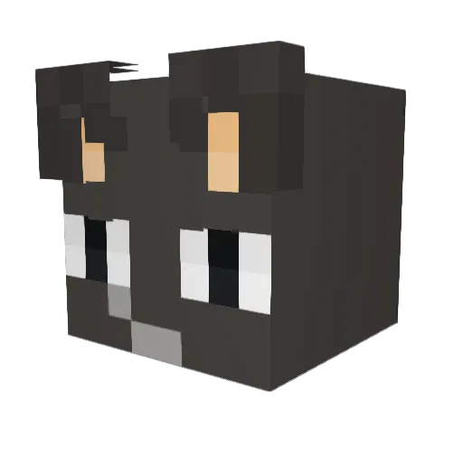 mattcat123 Minecraft avatar head, 3D render