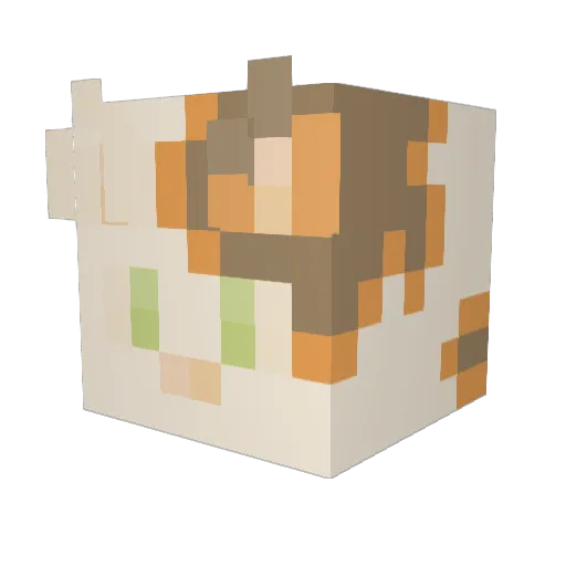 mattcat626 Minecraft avatar head, 3D render
