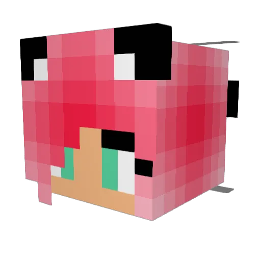 matthew4182001 Minecraft avatar head, 3D render