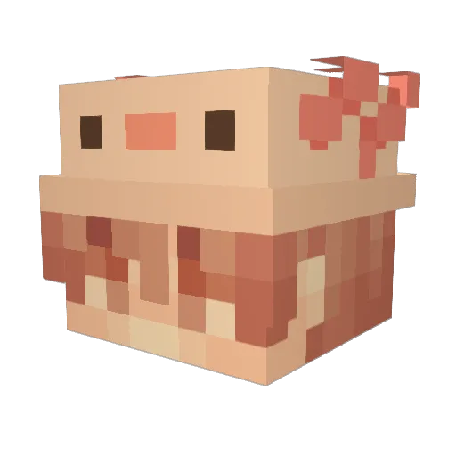 matthew98509 Minecraft avatar head, 3D render