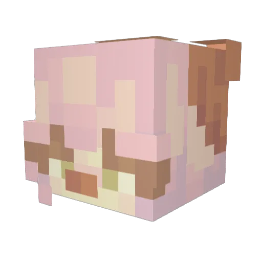 matthewc24 Minecraft avatar head, 3D render