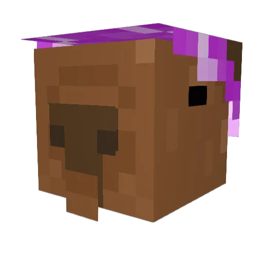 mattomoh Minecraft avatar head, 3D render