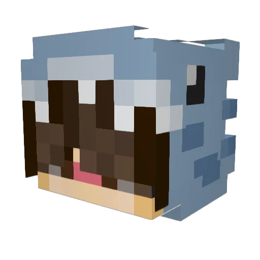 mattrauma Minecraft avatar head, 3D render