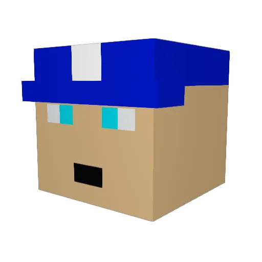 mattsc55 Minecraft avatar head, 3D render